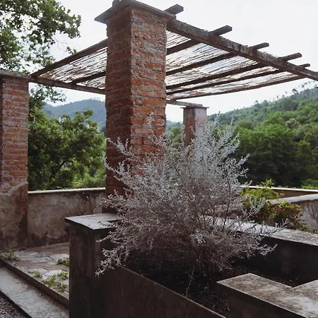 Apartment Residenza Nemus Olea Mare E Montagna Graveglia