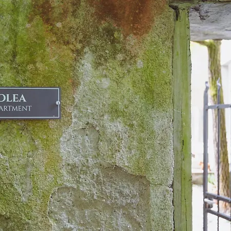 Apartmán Residenza Nemus Olea Mare E Montagna Graveglia