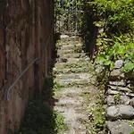 Residenza Nemus Olea Mare E Montagna Graveglia