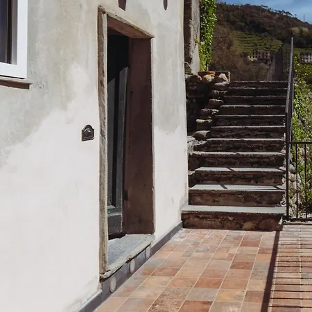 아파트 Residenza Nemus Olea Mare E Montagna