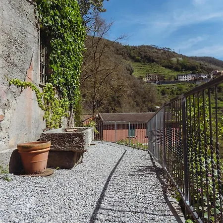 Residenza Nemus Olea Mare E Montagna Graveglia