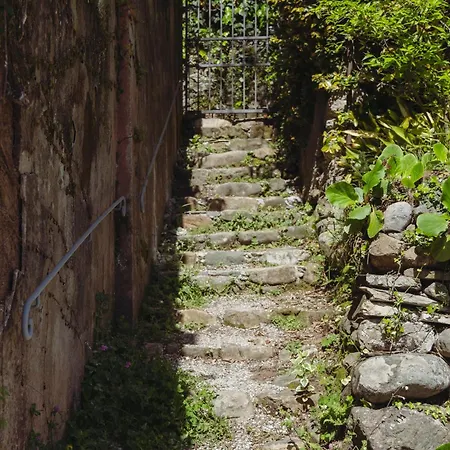Residenza Nemus Olea Mare E Montagna Graveglia