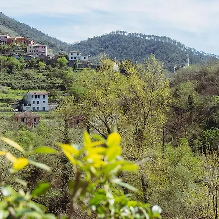 Residenza Nemus Olea Mare E Montagna Graveglia