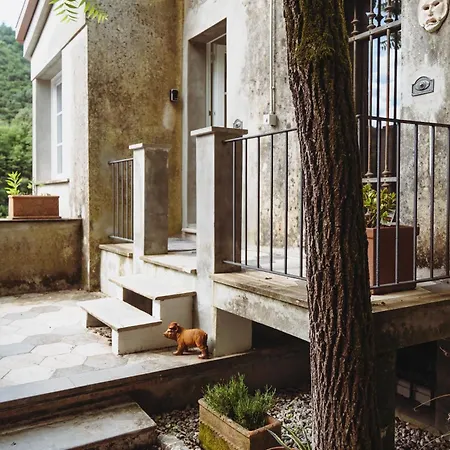 Residenza Nemus Olea Mare E Montagna アパート *