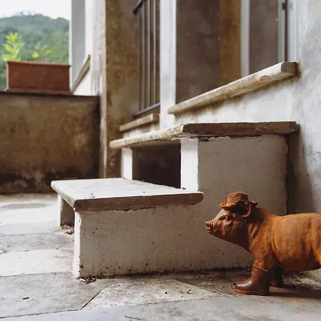 Residenza Nemus Olea Mare E Montagna Graveglia