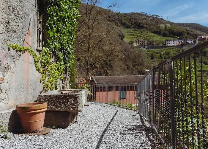 Residenza Nemus Olea Mare E Montagna Graveglia