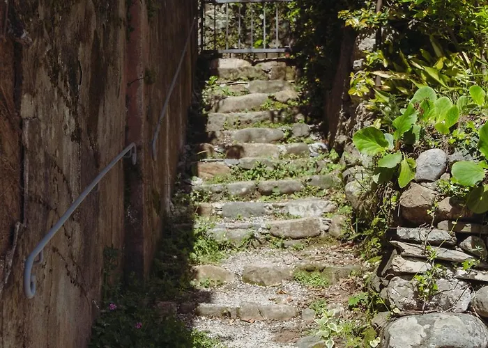 Residenza Nemus Olea Mare E Montagna Graveglia